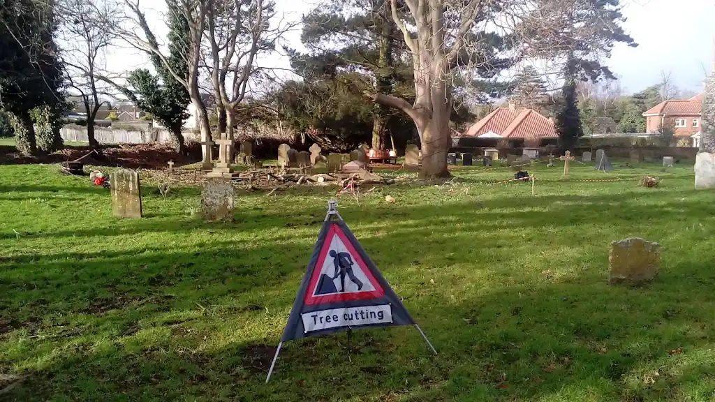 Arborcare tree cutting works in a churchyard with a 'Tree cutting' safety sign