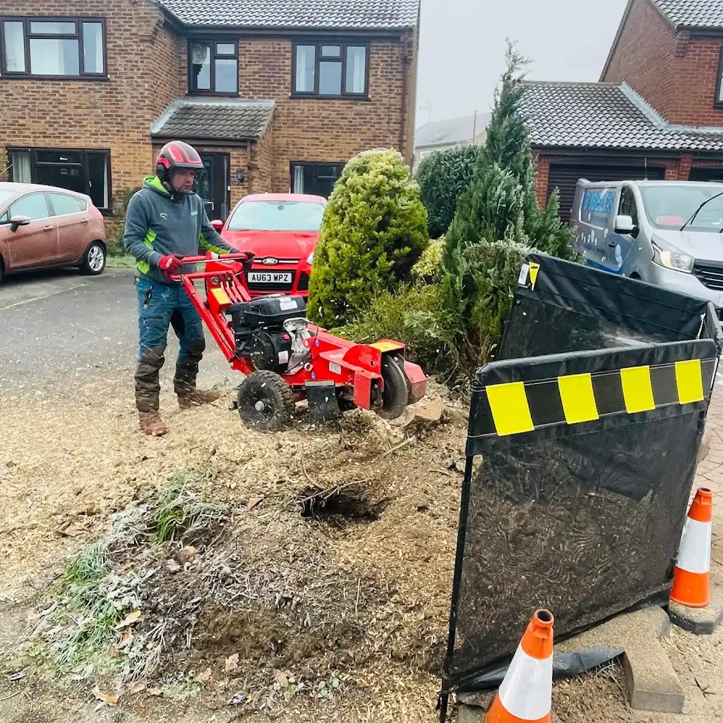 Jonathan of Arborcare stump grinding on a residential driveway