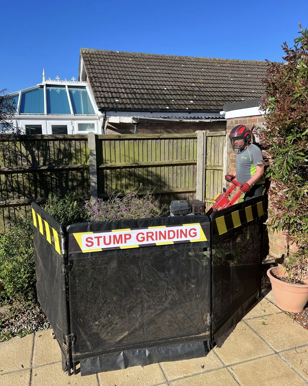 Arborcare tree surgeon stump grinding behind safety screens in Great Yarmouth, Norfolk
